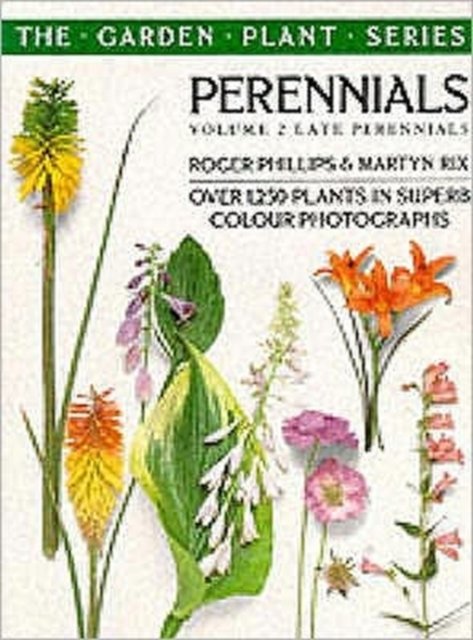 Cover for Roger Phillips · Perennials (Late Perennials) (Pocketbok) (1993)