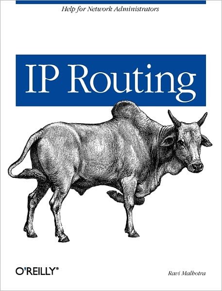 Cover for Ravi Malhotra · IP Routing (Paperback Book) (2002)