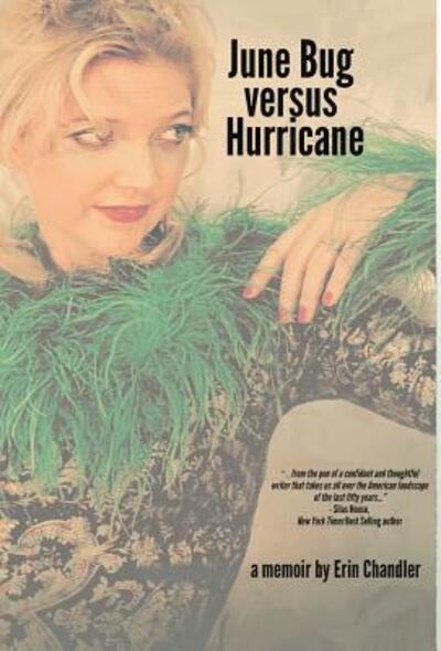 Cover for Erin Chandler · June Bug Versus Hurricane (Hardcover Book) (2017)