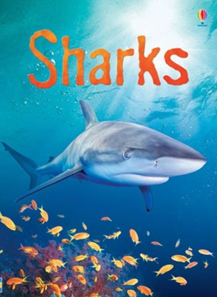 Sharks - Beginners - Catriona Clarke - Książki - Usborne Publishing Ltd - 9780746074756 - 26 stycznia 2007