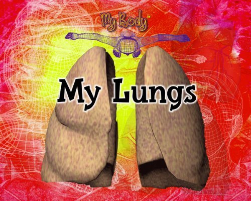 Cover for Kathy Furgang · My Lungs (My Body) (Hardcover Book) (2000)