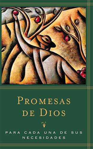 Promesas De Dios Para Cada Una De Sus Necesidades - Jack Countryman - Bücher - Grupo Nelson - 9780849951756 - 23. September 1996