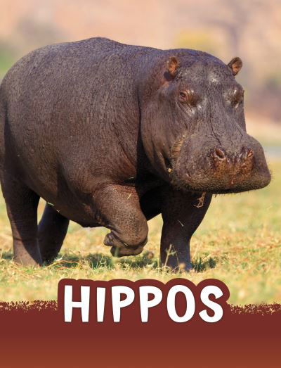 Cover for Jaclyn Jaycox · Hippos - Animals (Paperback Book) (2023)