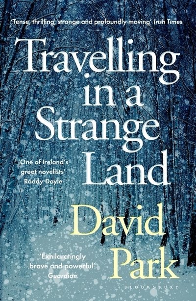 Cover for David Park · Travelling in a Strange Land: Winner of the Kerry Group Irish Novel of the Year (Paperback Bog) (2018)