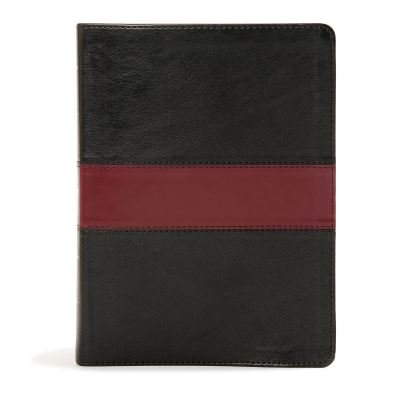 Cover for CSB Bibles by Holman CSB Bibles by Holman · KJV Apologetics Study Bible, Black / Red Leathertouch Indexed (Leather Book) (2019)