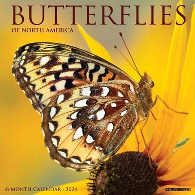 Cover for Willow Creek Press · Butterflies 2024 12 X 12 Wall Calendar (Calendar) (2023)