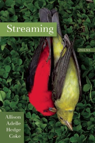 Cover for Allison Adelle Hedge Coke · Streaming (Paperback Book) (2014)