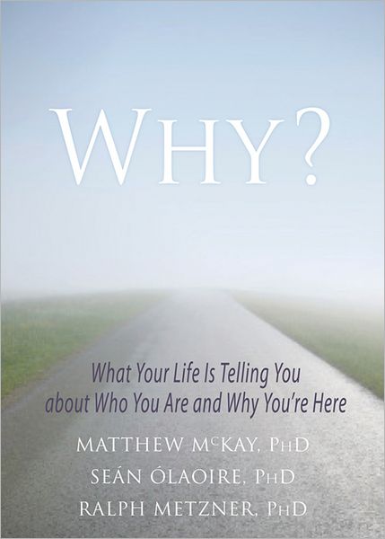 Why?: What Your Life Is Telling You about Who You Are and Why You're Here - Matthew McKay - Książki - New Harbinger Publications - 9781608827756 - 18 lipca 2013