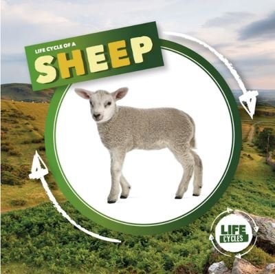 Cover for Kirsty Holmes · Life Cycle of a Sheep - Life Cycle of A... (Innbunden bok) (2021)