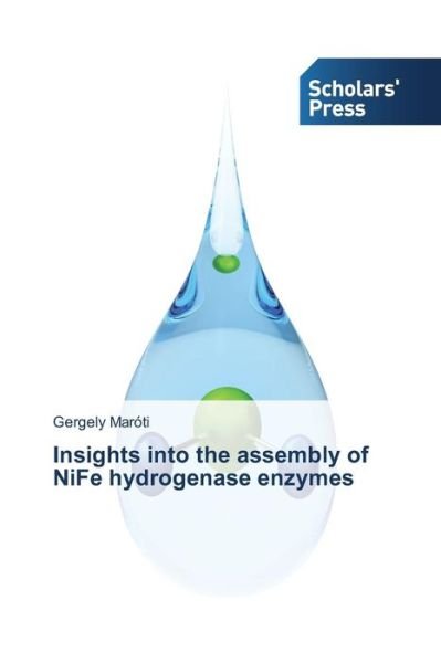 Cover for Gergely Maróti · Insights into the Assembly of Nife Hydrogenase Enzymes (Taschenbuch) (2014)