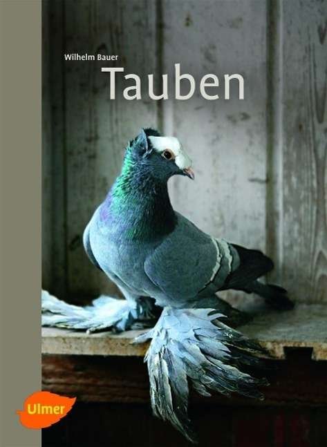 Cover for Bauer · Tauben (Buch)