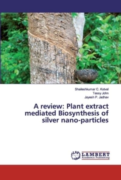 Cover for Jadhav · A review: Plant extract mediated (Buch) (2019)