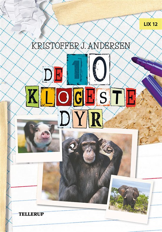 Cover for Kristoffer J. Andersen · De 10 dyr: De 10 dyr: De 10 klogeste dyr (Hardcover Book) [1.º edición] (2018)