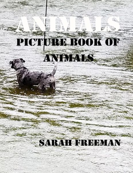 Cover for Sarah Freeman · Animals - Animals (Paperback Book) (2020)