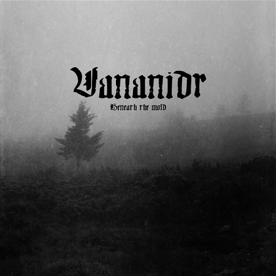 Cover for Vananidr · Beneath the Mold (LP) (2022)