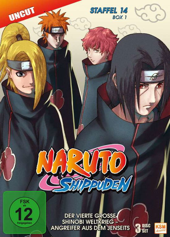 Cover for Naruto Shippuden - Der vierte große Shinobi Weltkrieg - Angreifer aus dem Jenseits - Staffel 14 - Bo (DVD) (2016)