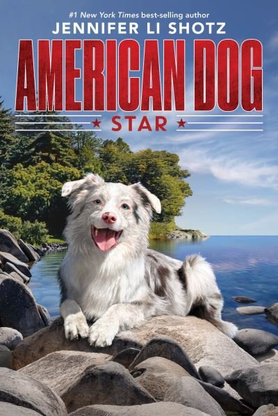 Cover for Jennifer Li Shotz · Star - American Dog (Paperback Book) (2020)