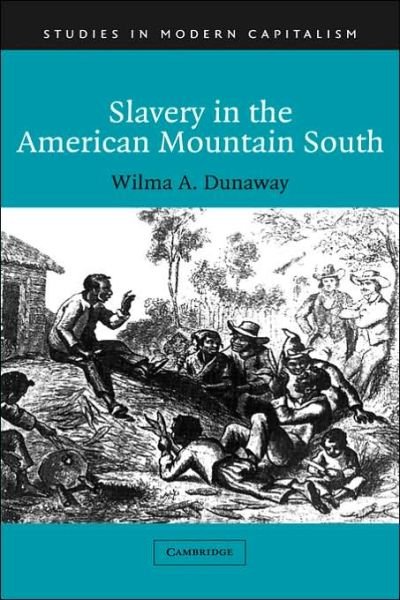 Cover for Dunaway, Wilma A. (Virginia Polytechnic Institute and State University) · Slavery in the American Mountain South - Studies in Modern Capitalism (Innbunden bok) (2003)