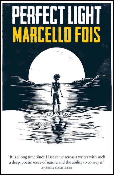 Cover for Marcello Fois · Perfect Light (Paperback Book) (2020)