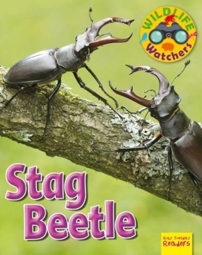 Cover for Ruth Owen · Stag Beetle (Book) (2018)