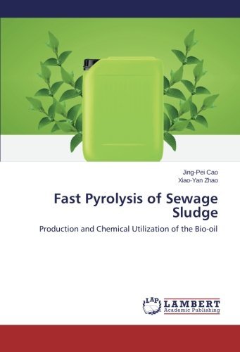 Cover for Xiao-yan Zhao · Fast Pyrolysis of Sewage Sludge: Production and Chemical Utilization of the Bio-oil (Paperback Book) (2014)