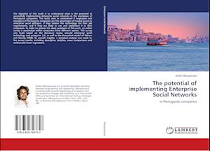 Cover for Albuquerque · The potential of implementi (Book)