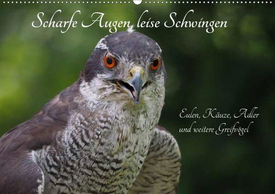 Cover for Sperling · Scharfe Augen, leise Schwingen (Bok)