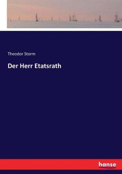 Der Herr Etatsrath - Storm - Books -  - 9783743611757 - January 3, 2017