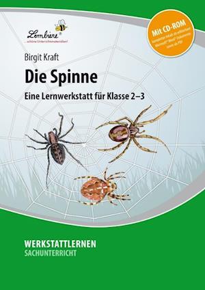 Cover for Kraft · Die Spinne, m. CD-ROM (Bok)