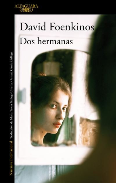 Cover for David Foenkinos · Dos hermanas (MERCH) (2020)