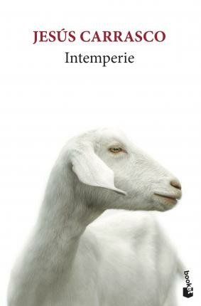 Cover for Jesús Carrasco · Intemperie (Paperback Book) (2019)