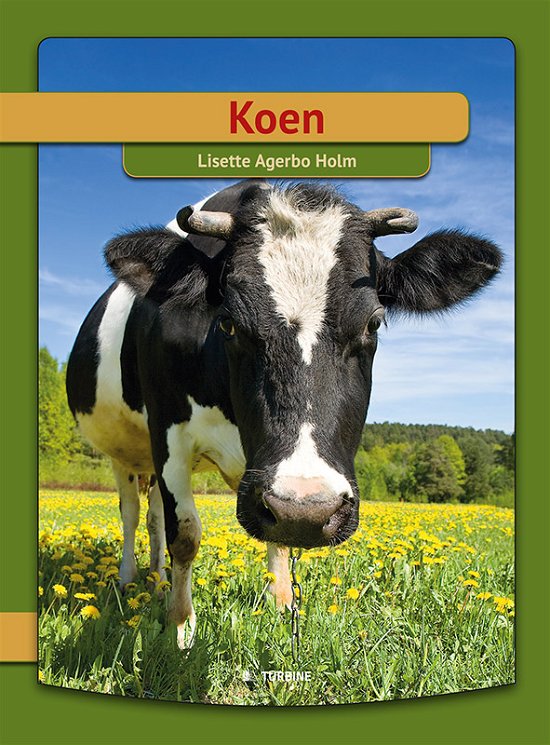 Cover for Lisette Agerbo Holm · Jeg læser: Koen (Inbunden Bok) (2015)