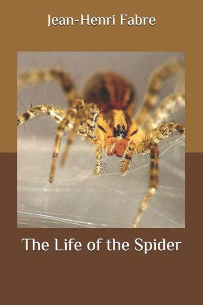 Cover for Jean-Henri Fabre · The Life of the Spider (Paperback Book) (2020)