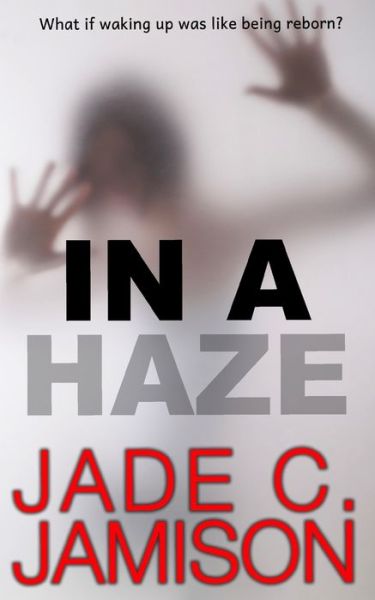 Cover for Jade C Jamison · In a Haze: A Romantic Thriller (Paperback Book) (2020)