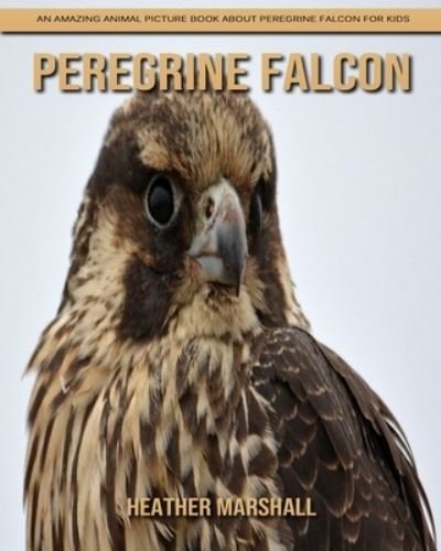 Cover for Heather Marshall · Peregrine Falcon: An Amazing Animal Picture Book about Peregrine Falcon for Kids (Paperback Book) (2021)