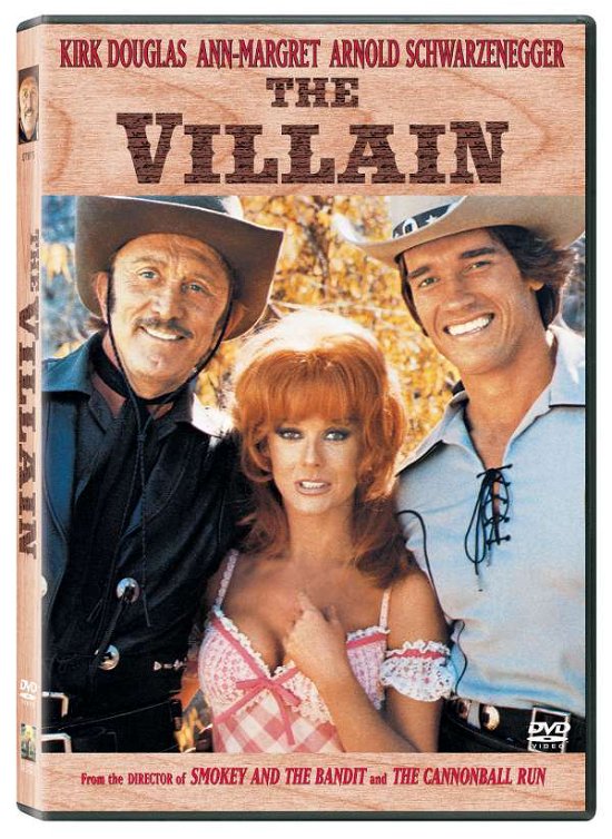 Cover for DVD · The Villain (DVD) (2002)