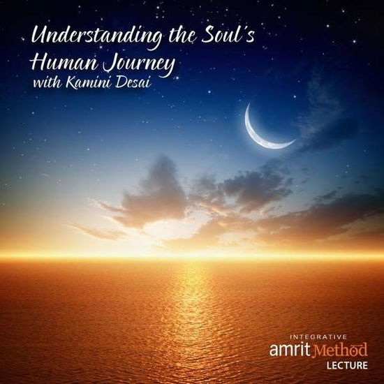 Understanding the Souls Human Journey - Kamini Desai - Muzyka - Kamini Desai - 0888174585758 - 11 lutego 2014