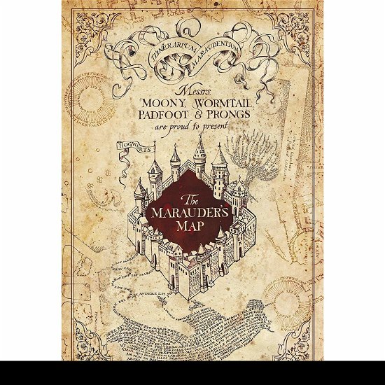 Cover for P.Derive · HARRY POTTER - Marauders Map - Poster 91x61 (Toys) (2020)