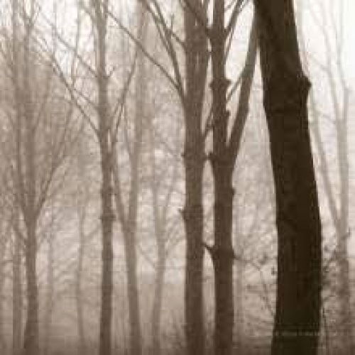 Cover for Blueneck · Scars Of The Midwest (LP) (2011)