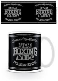 Batman - Boxing Academy () - Batman - Produtos - Pyramid Posters - 5050574237758 - 