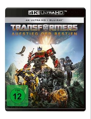 Cover for Dominique Fishback Anthony Ramos · Transformers: Aufstieg Der Bestien (4K UHD Blu-ray) (2023)