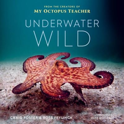 Cover for Craig Foster · Underwater Wild: My Octopus Teacher's Extraordinary World (Gebundenes Buch) (2021)