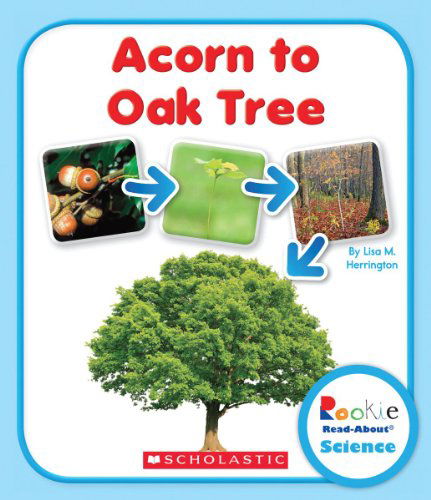 Cover for Lisa M. Herrington · Acorn to Oak Tree (Rookie Read-About Science: Life Cycles) - Rookie Read-About Science (Paperback Book) (2014)