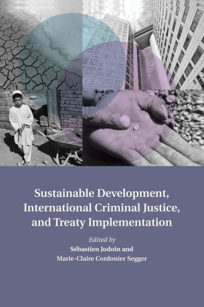 Cover for Sebastien Jodoin · Sustainable Development, International Criminal Justice, and Treaty Implementation - Treaty Implementation for Sustainable Development (Paperback Book) (2015)