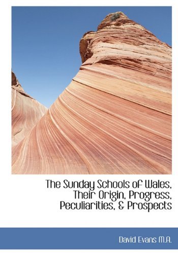 Cover for David Evans · The Sunday Schools of Wales, Their Origin, Progress, Peculiarities, &amp; Prospects (Hardcover Book) (2009)