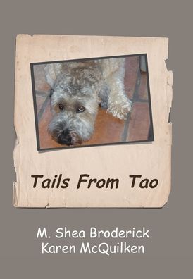 Cover for M Shea Broderick · Tails from Tao (Hardcover Book) (2020)