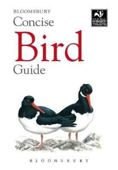 Cover for Bloomsbury · Concise Bird Guide - Concise Guides (Paperback Book) (2018)