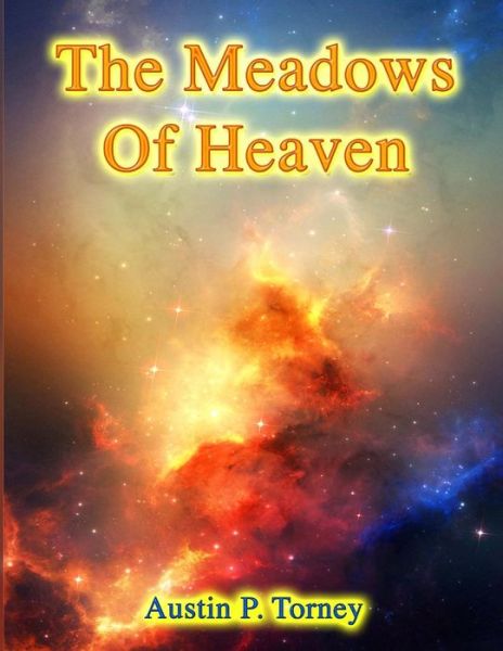 Cover for Austin P Torney · The Meadows of Heaven (Paperback Book) (2013)