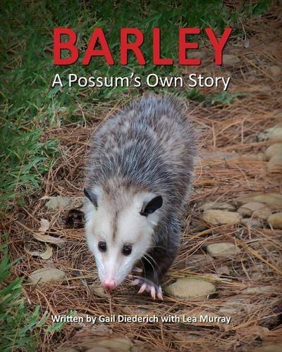 Cover for Gail Diederich · Barley, a Possum's Own Story (Paperback Book) (2014)
