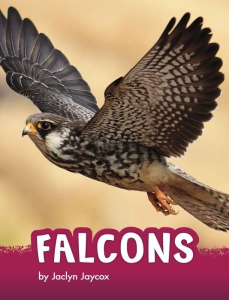 Cover for Jaclyn Jaycox · Falcons (Hardcover Book) (2022)